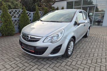 Polski salon * II właściciel